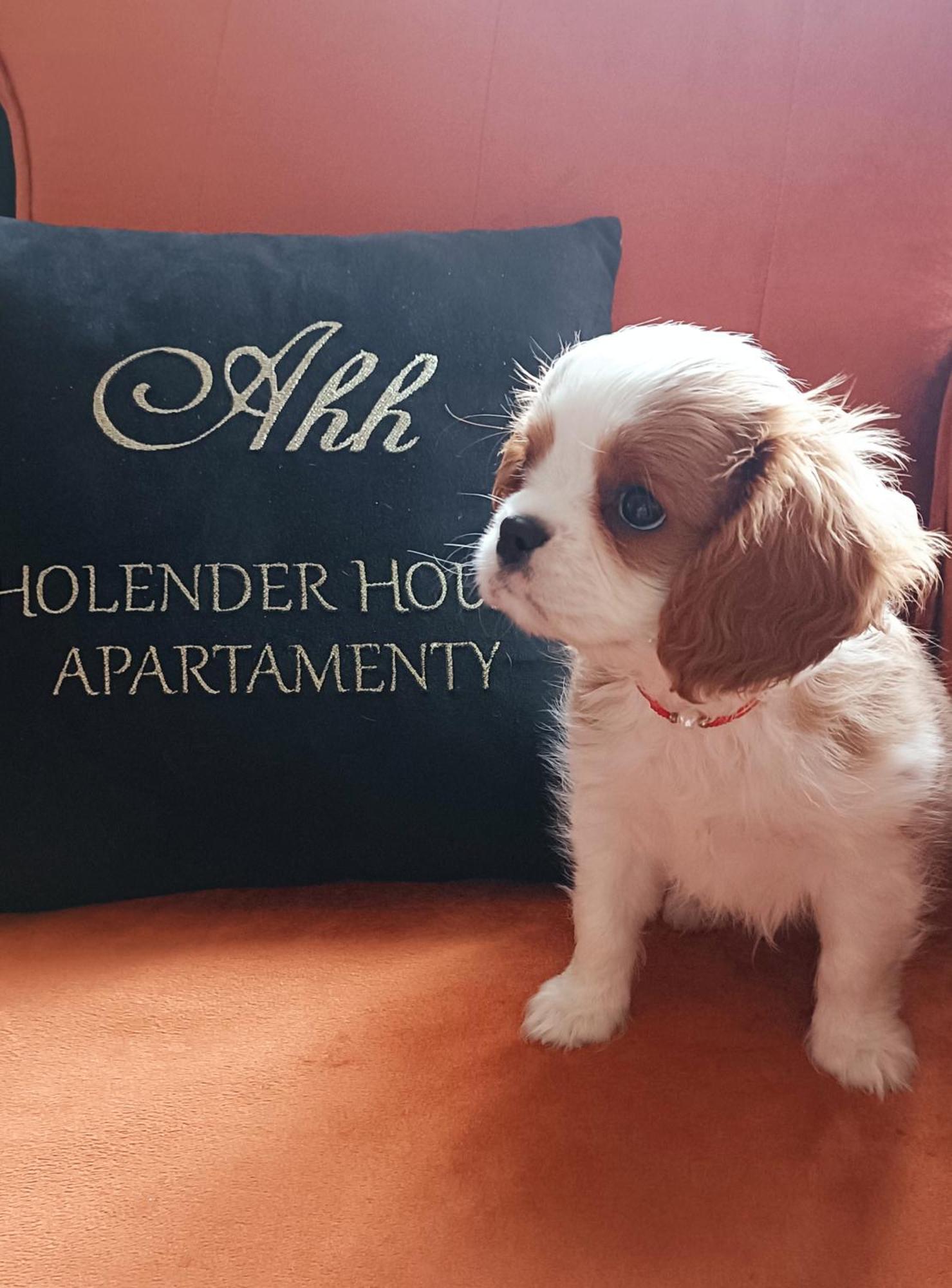 Apartamenty Holender House Choczewo المظهر الخارجي الصورة